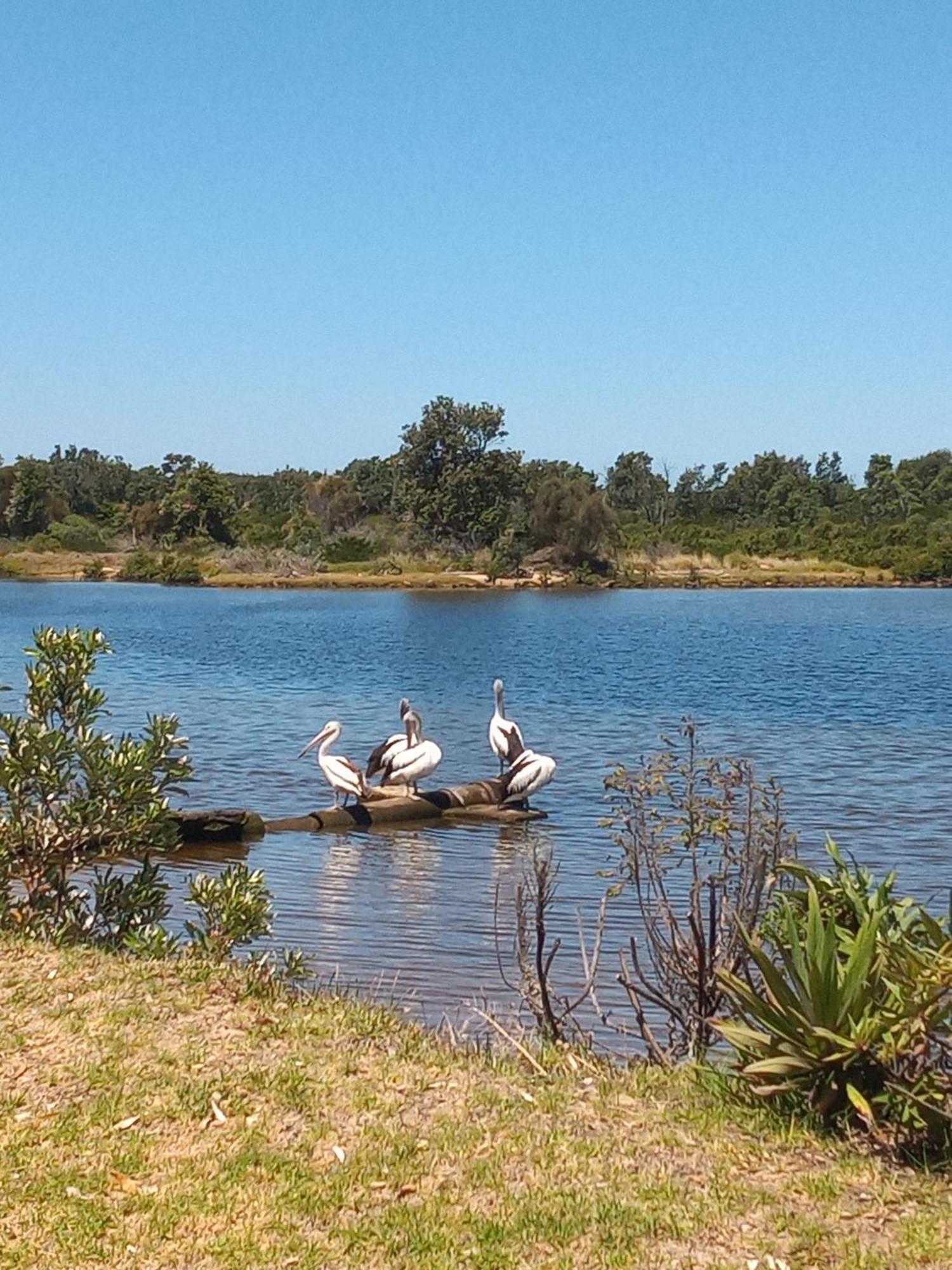 Lakes Entrance Waterfront Cottages With King Beds Dış mekan fotoğraf